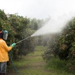 Agricultural and garden pesticide spraying