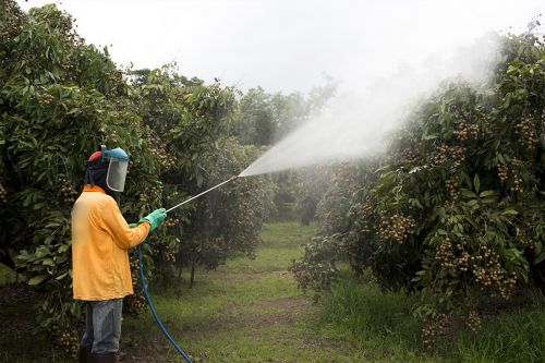 Agricultural and garden pesticide spraying