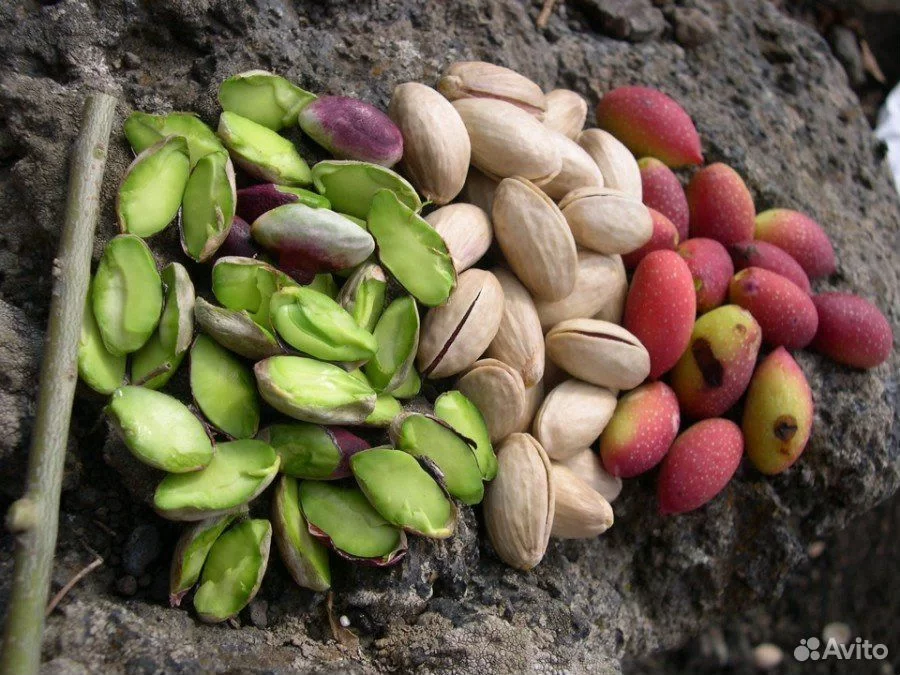  تخصص در ساخت کیفیت 